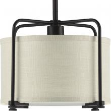 Progress Lighting, a Hubbell affiliate P500138-020 - P500138-020 1-75W MED PENDANT