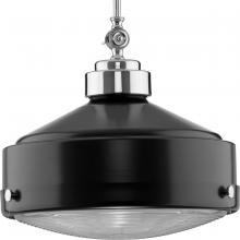 Progress Lighting, a Hubbell affiliate P500170-031 - P500170-031 1-100W MED PENDANT