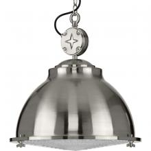 Progress Lighting, a Hubbell affiliate P500212-009 - P500212-009 1-100W MED PENDANT