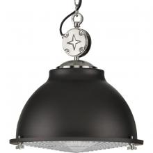 Progress Lighting, a Hubbell affiliate P500212-143 - P500212-143 1-100W MED PENDANT