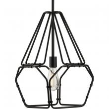 Progress Lighting, a Hubbell affiliate P500220-031 - P500220-031 1-100W MED PENDANT