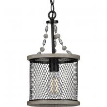 Progress Lighting, a Hubbell affiliate P500228-020 - P500228-020 1-60W MED MINI-PENDANT