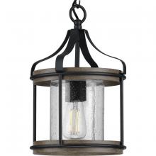 Progress Lighting, a Hubbell affiliate P500234-031 - P500234-031 1-100W MED PENDANT