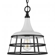 Progress Lighting, a Hubbell affiliate P500236-030 - P500236-030 1-60W MED PENDANT