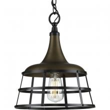 Progress Lighting, a Hubbell affiliate P500236-161 - P500236-161 1-60W MED PENDANT