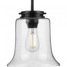 Progress Lighting, a Hubbell affiliate P500238-031 - P500238-031 1-60W MED MINI-PENDANT