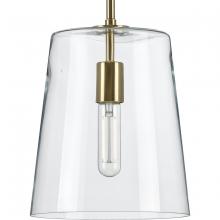 Progress Lighting, a Hubbell affiliate P500241-012 - P500241-012 1-60W MED PENDANT