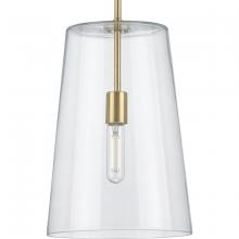 Progress Lighting, a Hubbell affiliate P500242-012 - P500242-012 1-60W MED PENDANT