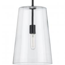 Progress Lighting, a Hubbell affiliate P500242-031 - P500242-031 1-60W MED PENDANT