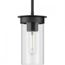 Progress Lighting, a Hubbell affiliate P500314-031 - P500314-031 1-60W Med Mini-Pendant