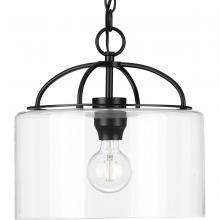 Progress Lighting, a Hubbell affiliate P500316-031 - P500316-031 1-60W MED PENDANT