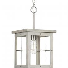 Progress Lighting, a Hubbell affiliate P500317-009 - P500317-009 1-60W MED MINI-PENDANT