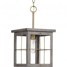 Progress Lighting, a Hubbell affiliate P500317-175 - P500317-175 1-60W MED MINI-PENDANT