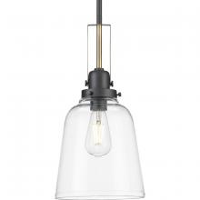 Progress Lighting, a Hubbell affiliate P500329-143 - P500329-143 1-100W MED PENDANT