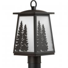 Progress Lighting, a Hubbell affiliate P540060-020 - P540060-020 1-100W MED POST LANTERN