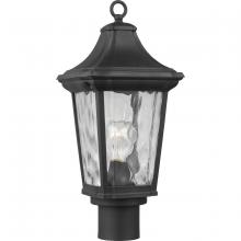 Progress Lighting, a Hubbell affiliate P540062-031 - P540062-031 1-75W MED POST LANTERN