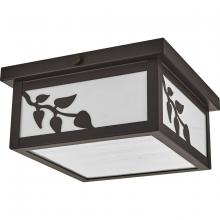 Progress Lighting, a Hubbell affiliate P550057-020 - P550057-020 2-60W MED FLUSH MOUNT