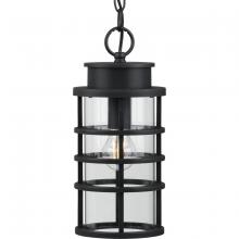 Progress Lighting, a Hubbell affiliate P550061-031 - P550061-031 1-100W MED HANGING LANTERN