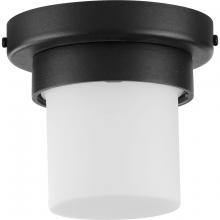 Progress Lighting, a Hubbell affiliate P550071-031-30 - P550071-031-30 1-9W LED FLUSH MOUNT