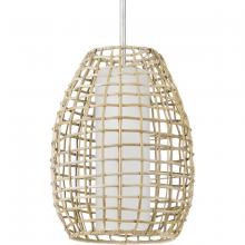 Progress Lighting, a Hubbell affiliate P550083-141 - P550083-141 1-100W MED OUTDOOR PENDANT