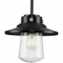 Progress Lighting, a Hubbell affiliate P550093-031 - P550093-031 1-60W MED PENDANT