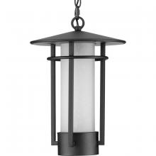 Progress Lighting, a Hubbell affiliate P550097-031 - P550097-031 1-100W MED HANGING LANTERN