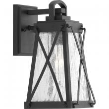 Progress Lighting, a Hubbell affiliate P560031-031 - P560031-031 1-100W MED WALL LANTERN