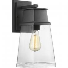 Progress Lighting, a Hubbell affiliate P560100-031 - P560100-031 1-100W MED WALL LANTERN