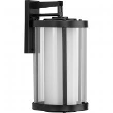 Progress Lighting, a Hubbell affiliate P560150-031 - P560150-031 1-100W MED WALL LANTERN