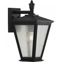 Progress Lighting, a Hubbell affiliate P560167-031 - P560167-031 1-75W MED WALL LANTERN