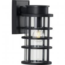 Progress Lighting, a Hubbell affiliate P560168-031 - P560168-031 1-100W MED WALL LANTERN