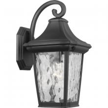 Progress Lighting, a Hubbell affiliate P560172-031 - P560172-031 1-75W MED WALL LANTERN