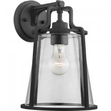 Progress Lighting, a Hubbell affiliate P560185-031 - P560185-031 1-100W MED WALL LANTERN