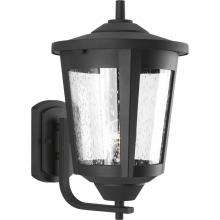 Progress Lighting, a Hubbell affiliate P6075-31 - P6075-31 1-100W LARGE WALL LANTERN